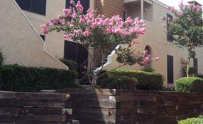 Villas of White Rock Apartments